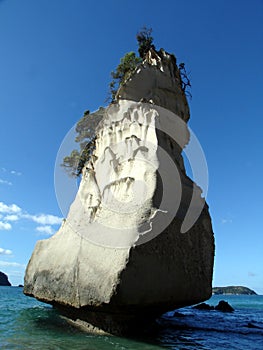 Coromandel Beach rock photo