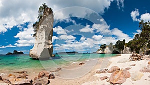 Coromandel photo