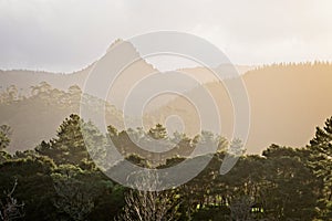 Coromandel Peninsula Landscape Near Pauanui, New Zealand, NZ