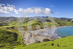 Coromandel Port Jackson New Zealand