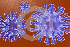 Corona Virus