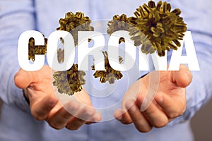 A Corona Virus - Microbiology And Virology Concept - 3d Rendering