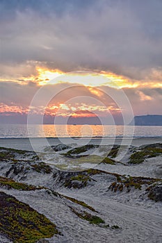 Coronado Beach in San Diego by the Historic Hotel del Coronado, at sunset with unique beach sand dunes, panorama view of the Pacif