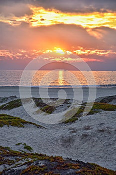 Coronado Beach in San Diego by the Historic Hotel del Coronado, at sunset with unique beach sand dunes, panorama view of the Pacif