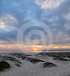 Coronado Beach in San Diego by the Historic Hotel del Coronado, at sunset with unique beach sand dunes, panorama view of the Pacif