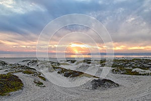 Coronado Beach in San Diego by the Historic Hotel del Coronado, at sunset with unique beach sand dunes, panorama view of the Pacif