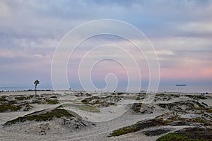 Coronado Beach in San Diego by the Historic Hotel del Coronado, at sunset with unique beach sand dunes, panorama view of the Pacif