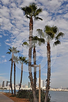 Coronado Island in San Diego, California