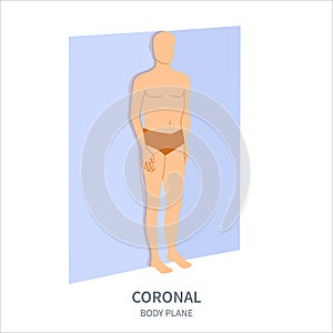 Coronal scanning plane for probe orientation position diagram