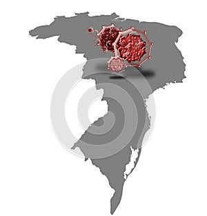 Coronavirus on Brazil Map, Illustration