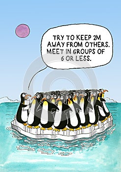 Coronavirus cartoon work with penguin herd