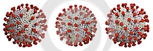 Coronavirus cell or covid-19 cell