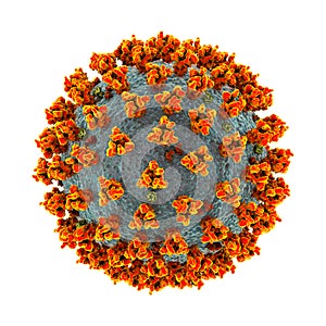 Coronavirus COVID-19, SARS-CoV-2, 3D illustration