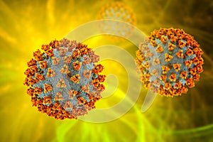 Coronavirus COVID-19, SARS-CoV-2, 3D illustration