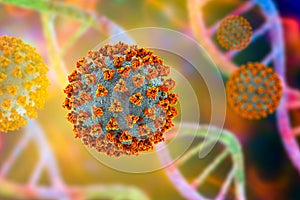 Coronavirus COVID-19, SARS-CoV-2, 3D illustration