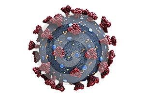 Coronavirus or covid-19 virus cell scientific structure model isolated on a white background. Microbiology, science, medicine,