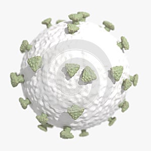 Coronavirus COVID-19 3d Model on white background
