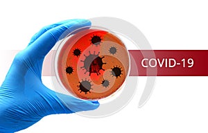 coronavirus covid hand