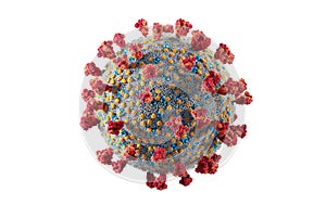 Coronavirus Covid-19. Scientifically accurate illustration of Covid corona virus cell photo