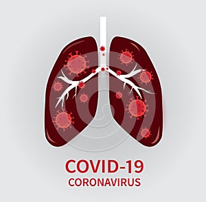 Coronavirus COVID-19 to spread into the cells of the airways and lungs. photo