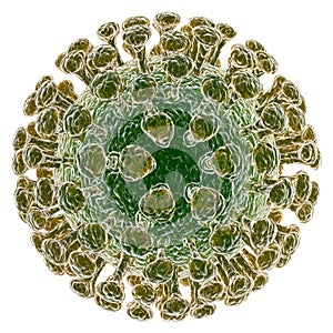 Coronavirus photo