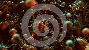 Coronavirus disease in microscopic representation 3d render animation