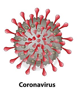 Coronavirus External Features and Structures