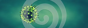 Coronavirus or Flu virus concept