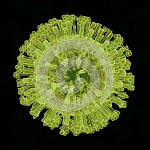 Coronavirus Illustration