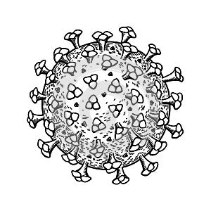 Coronavirus isolated on white background. Hand drawn realistic detailed scientifical vector illustration in sketch style