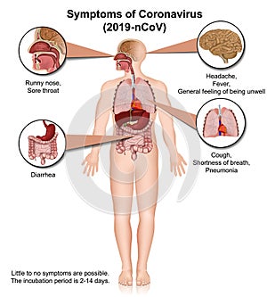 Coronavirus medical vector infographic symptoms isolated on white background eps 10