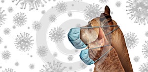 Coronavirus Pets