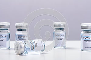 Coronavirus vaccine - The medical concept