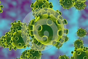 Coronavirus, virus which causes SARS and MERS