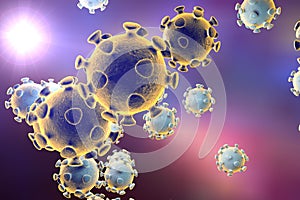 Coronavirus, virus which causes SARS and MERS