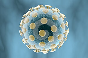 Coronavirus, virus which causes SARS and MERS