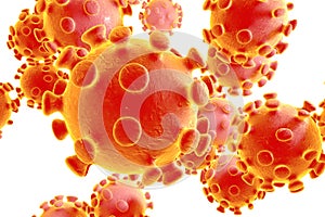 Coronavirus, virus which causes SARS and MERS