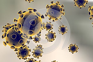 Coronavirus, virus which causes SARS and MERS