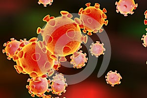 Coronavirus, virus which causes SARS and MERS