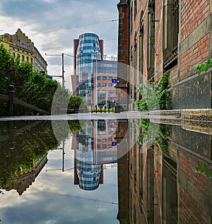 Corporate building tower reflected in puddle