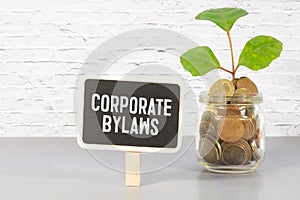 Corporate Bylaws is shown using a text.