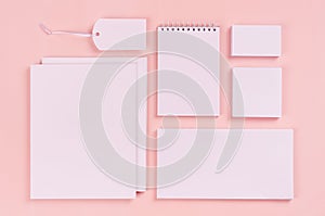 Corporate identity template, white stationery set with blank business cards, labels, brochures on pastel pink stylish background.