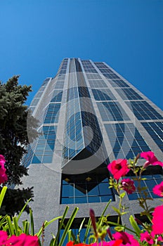 Corporate Office Tower