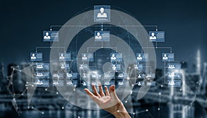 Corporate org chart and team structure visualization Vouch