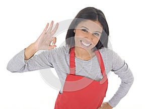 Corporate portrait of young attractive hispanic home cook woman in red apron posing happy and smiling isolated