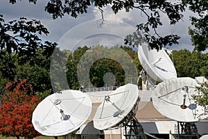 Corporate satellite dishes in autumn