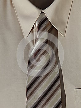 Corporate Wear - Shirt and Tie