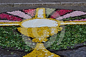 Corpus Christi - flower decoration on the street