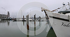 Corpus Christi pelican boat marina harbor 4K