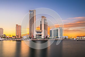 Corpus Christi, Texas, USA skyline photo